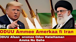 ODUU Ammee 12 February 2026