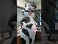 Ranch Round-Up Oct 10, 2024