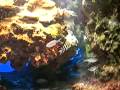 下田海中水族館 の動画、YouTube動画。