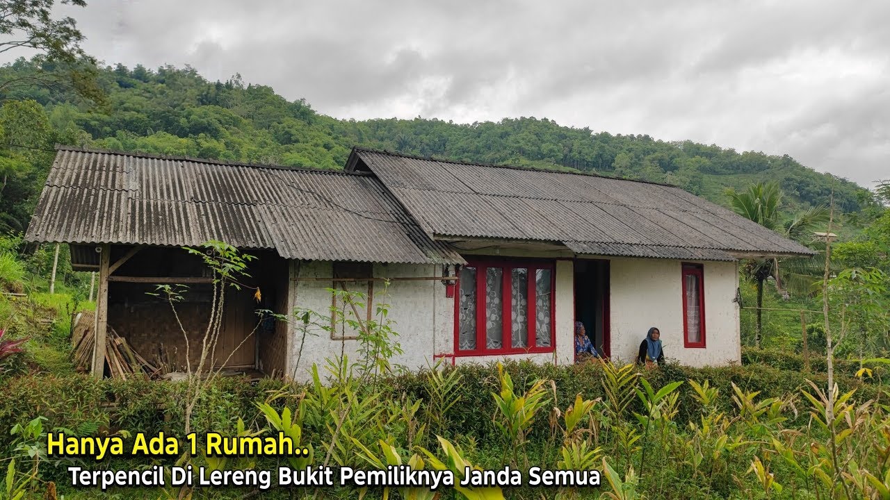 Hanya Ada 1 Rumah.. Pemiliknya Janda Semua, Terpencil di Lereng Bukit Pinggir Hutan