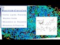 Biology Chapter 5 - The Structure and Function of Large Biological Molecules