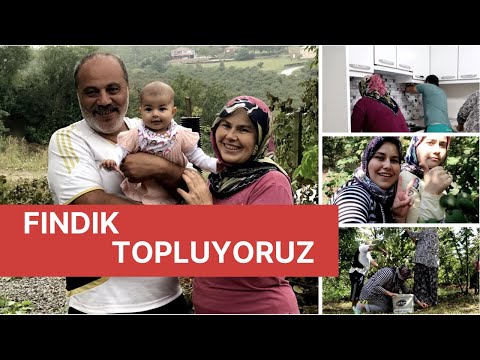 İŞTE O GÜN GELDİ! FINDIK TOPLUYORUZ | GELİN GÖRÜMCE ATIŞMASI | MUTFAĞIMIZI YENİLEDİK | KÖYDE BİR GÜN