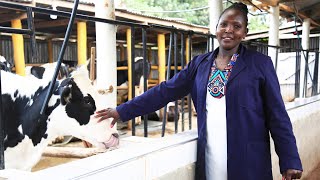 'From 6 to 200 Litres of Milk per Day'  How to Succeed in Dairy Farming.