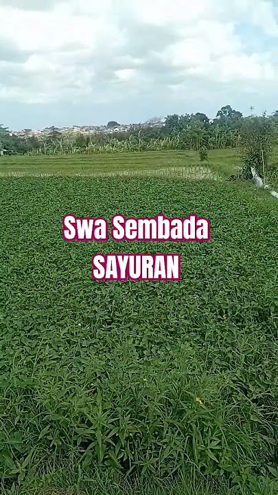 Swa Sembada Sayuran