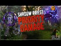 Shadow priest priority target damage build  dragonflight mythic