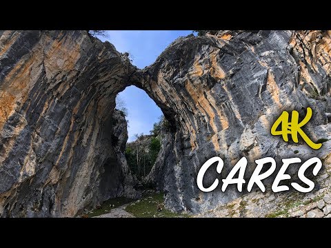 Vídeo: CARES DEL NARCISME