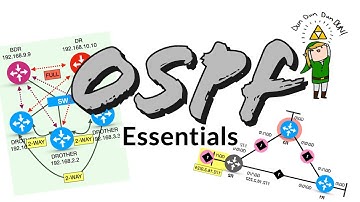 OSPF Essentials -  O básico que você precisa saber e entender.