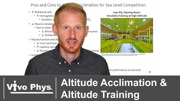 Altitude Acclimation and Altitude Training for Aerobic Exercise Endurance