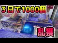 3日で1000個のアルフォートを乱獲された設定