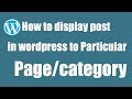 How to display post in WordPress to particular page or category