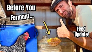 Before You Ferment Chicken Feed Again… Watch This First!
