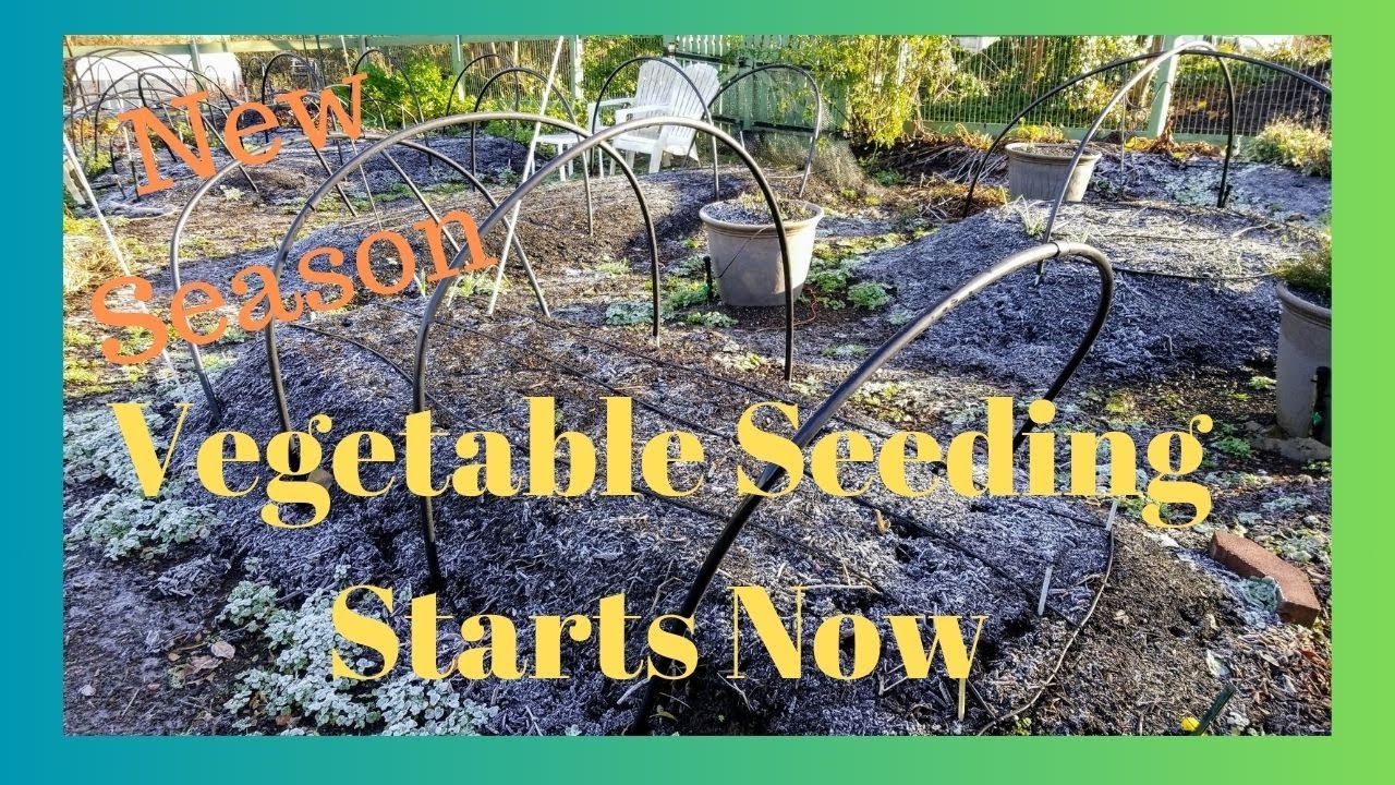Getting Seeding Started For 2024 - YouTube