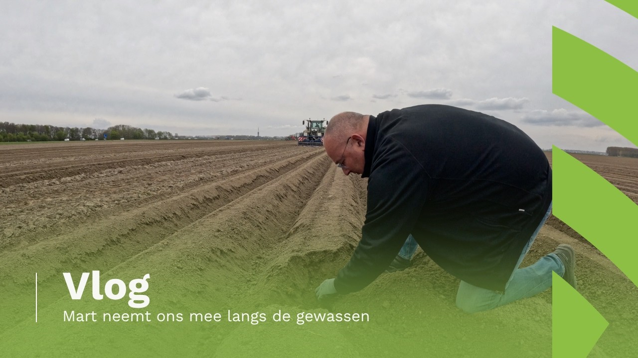 VLOG | Mart neemt ons mee langs de gewassen in een groeizaam April