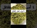 4أسباب لفشل الفلافل اكسبلور وصفات طبخ   