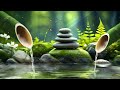 Relaxing Music & Water Sounds for Meditation - Relieve Stress, Anxiety & Depression, Insomnia