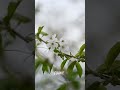 #світлоістини #пробудження #творець