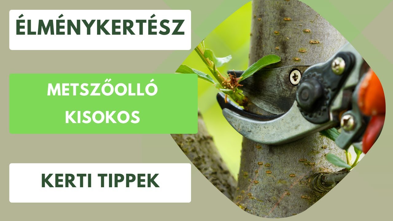 Metszőolló kisokos✂️