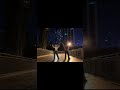《小仙摇全国巡演》—湖北武汉#小仙编舞 #小仙摇 #小仙摇2 #shortvideo #dance