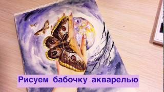 Рисуем бабочку акварелью