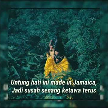 Story WA reggae