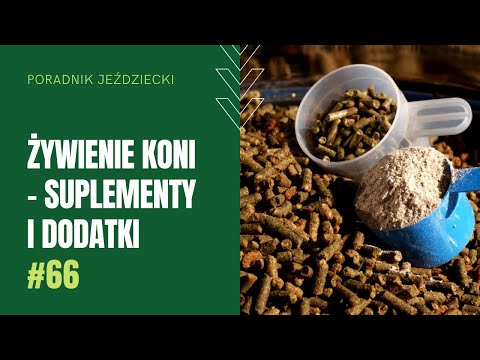 ŻYWIENIE KONI - SUPLEMENTY I DODATKI PASZOWE | Poradnik jeździecki #66