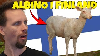 ALBINO-HJORT I FINLAND | NYA KARTAN ÄR LIVE! - The Hunter - Call of the wild med Softis