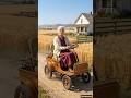 Too Old Grandma Proved Everyone Wrong! #shorts #ViralShorts  #DIYMachine