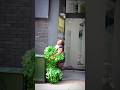 Bushman Prank