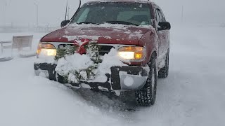 Frozen Bay Blizzard