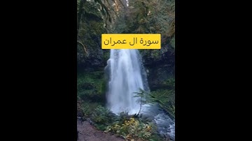 سورة آل عمران#نور من الله يضيء القلوب# #القرآن_الكريم # #اكسبلور #chorts #