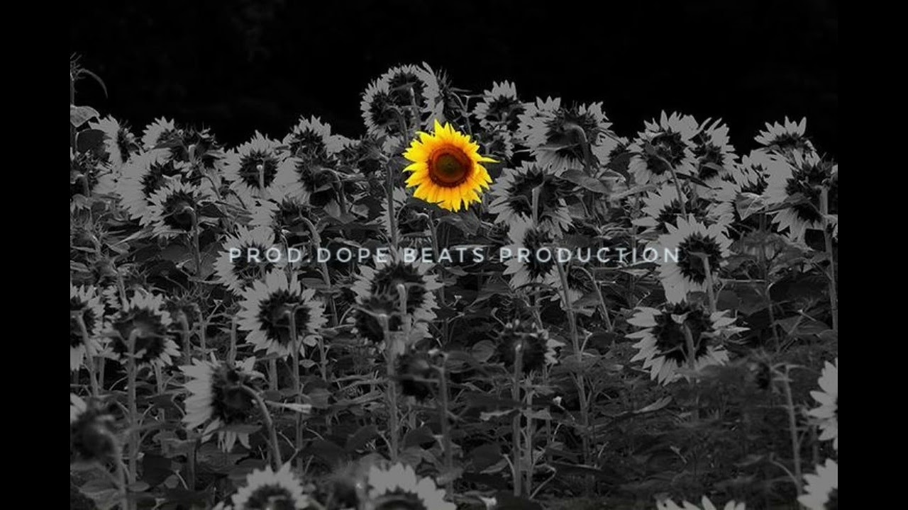 BLACK & YELLOW - MC STAN X YUNG DSA TYPE BEATS 2025