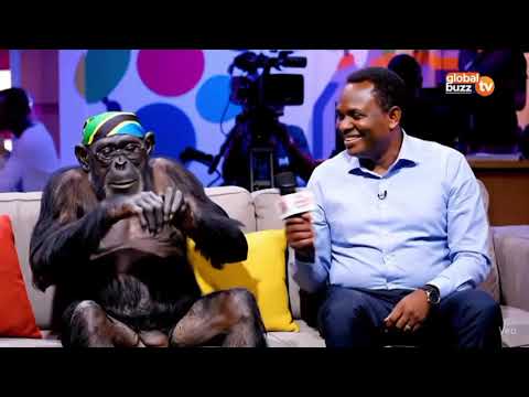 Sokwe Mweusi Yanga Young Africa