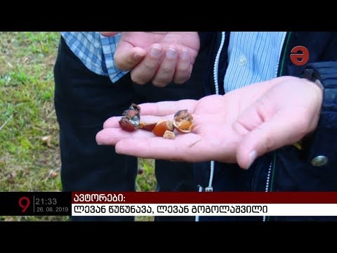 სამეგრელოში აზიურ ფაროსანასთან ბრძოლის 18 თვე შეაჯამეს