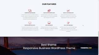 Vizeon - Business Consulting Wordpress Themes Cairo Lenard