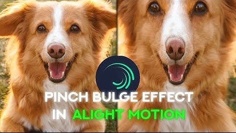 Pinch Bulge Effect | Tutorial | Alight Motion | With Preset