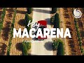 Amad 99 &amp; DJ R&#39;AN Ft. El IWORI, Chany Romant, Bobby G - Hey Macarena (Official Music Video)