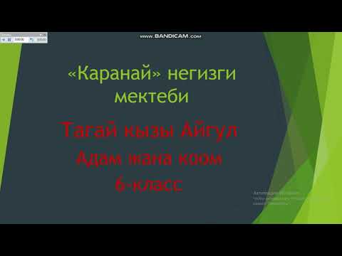 Video: Тарыхка берилгендик