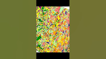 Temporal Convolutional Neural Network for the Classification of Satellite Image Time ... | RTCL.TV