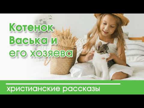 💛 Котенок Васька