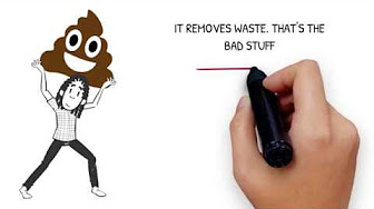 Dimensions health videos #MyGPandMe - YouTube