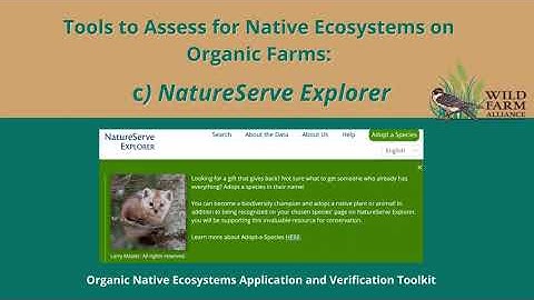 Toolkit: Appendix C NatureServe Explorer