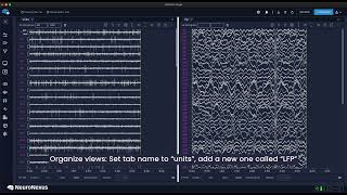 Radiens tutorials: multiple monitor view