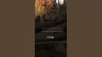 آيات من سورة يوسف بصوت المنشاوي #القران_الكريم #اكسبلور #تيك_توك #المنشاوي #سورة_يوسف #quran #allah