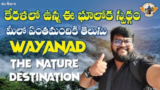 Wayanad || weekend Destination From Bangalore || Telugu Travel Vlogger || Strikers