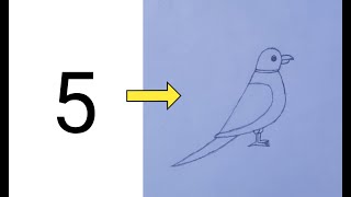 "How to Draw an Easy Parrot Step by Step"