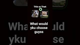 Little Cats .A.a-T11