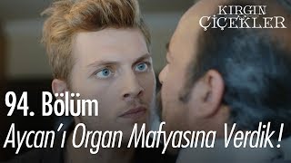 Aycan'ı organ mafyasına verdik! - Kırgın Çiçekler 94.  Resimi