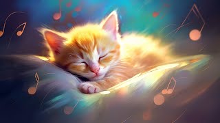 24 HOUR Calming Music for Cats with Anxiety | Sleep Music for Cats | Videos for Cats 4