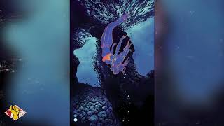 Designing Poetry: The Making of Aubrey Manahan's Poetry Poster (Timelapse)