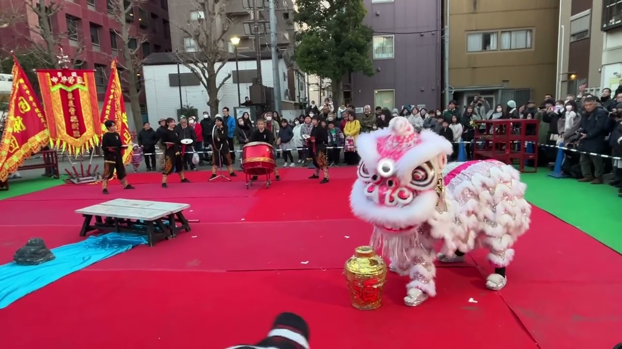 2025.2.9 横浜中華街 春節 中国獅子舞③